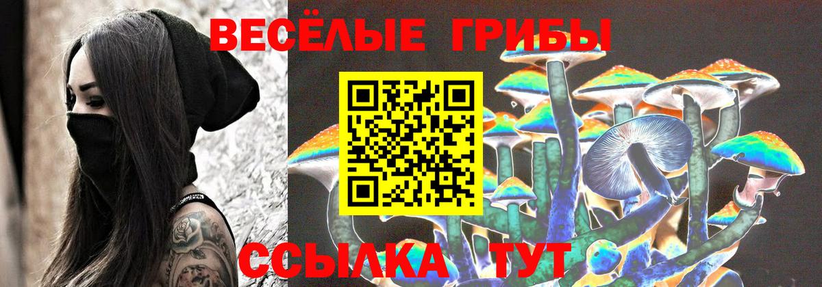 купить   Галлюциногенные грибы Psilocybe  Псилоцибиновые грибы прущие грибы  Вход с VPN  Черняховск 