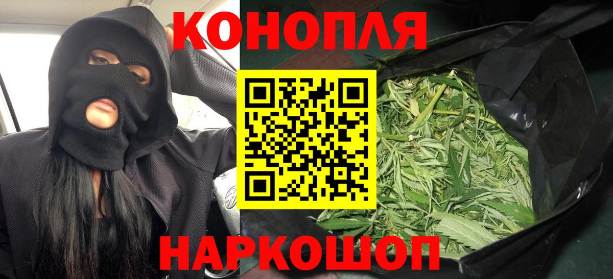 Шишки марихуана конопля Черняховск
